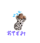 shuta！（個別スタンプ：10）