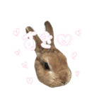 せつせつすたんぷ（個別スタンプ：6）