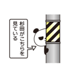 杉田パンダ（個別スタンプ：25）