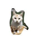 保護猫家（個別スタンプ：3）