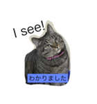 シャルメール（個別スタンプ：2）
