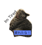 シャルメール（個別スタンプ：6）