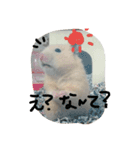 佐野家の関西弁はむちゃんず（個別スタンプ：3）