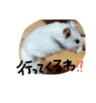 佐野家の関西弁はむちゃんず（個別スタンプ：14）