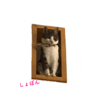 ルーシーラブ（個別スタンプ：4）