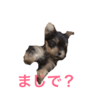 ミントちゃんスタンプ（個別スタンプ：5）