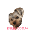 ミントちゃんスタンプ（個別スタンプ：8）