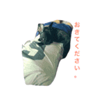 French bulldog.nasubiiiiii（個別スタンプ：7）