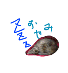 暇じー（個別スタンプ：3）