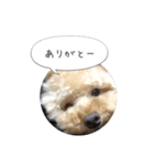 モカスタンプ1（個別スタンプ：3）