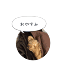 モカスタンプ1（個別スタンプ：4）
