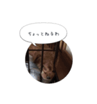 モカスタンプ1（個別スタンプ：5）