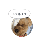 モカスタンプ1（個別スタンプ：6）