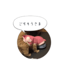 モカスタンプ1（個別スタンプ：7）