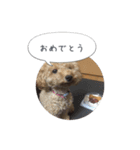 モカスタンプ1（個別スタンプ：8）