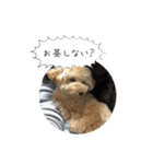 モカスタンプ1（個別スタンプ：9）