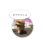 モカスタンプ1（個別スタンプ：11）