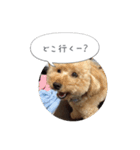 モカスタンプ1（個別スタンプ：12）