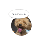 モカスタンプ1（個別スタンプ：13）