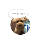モカスタンプ1（個別スタンプ：14）