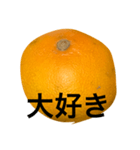mikantati7（個別スタンプ：8）