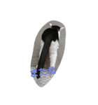 WAKAME  CAT（個別スタンプ：15）