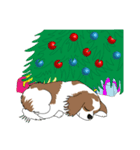 犬と クリスマス：キャバリア（個別スタンプ：8）