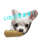 ちろたんの日常（個別スタンプ：4）