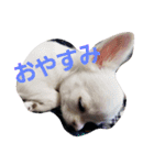 ちろたんの日常（個別スタンプ：5）