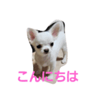 ちろたんの日常（個別スタンプ：7）