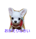 ちろたんの日常（個別スタンプ：8）
