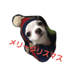 ちろたんの日常（個別スタンプ：15）