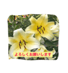 思い出旅行に行く（個別スタンプ：2）