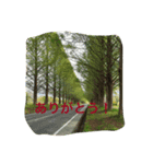 思い出旅行に行く（個別スタンプ：8）