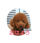 プー子（個別スタンプ：4）