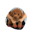 プー子（個別スタンプ：8）