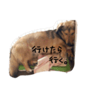 こぎっくすの日常（個別スタンプ：10）