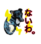 小次郎の小言2（個別スタンプ：5）