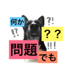 小次郎の小言2（個別スタンプ：7）