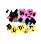 小次郎の小言2（個別スタンプ：12）