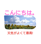 きれいな景色（個別スタンプ：4）