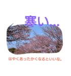 きれいな景色（個別スタンプ：11）