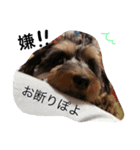 らんころ 日常（個別スタンプ：1）