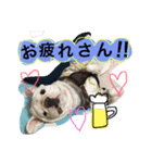 RIArin2（個別スタンプ：4）