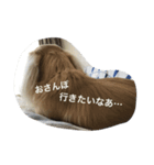 ポロンくん（個別スタンプ：9）