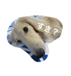 ポロンくん（個別スタンプ：10）