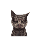 顔の表情（動物）（個別スタンプ：1）