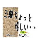 ★三輪さんの名前スタンプ★（個別スタンプ：1）