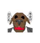 センチメンタル猫とわんちゃんWith動物（個別スタンプ：4）