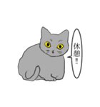 センチメンタル猫とわんちゃんWith動物（個別スタンプ：10）